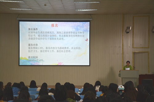 米兰·体育官方网站召开2019届毕业生就业指导会